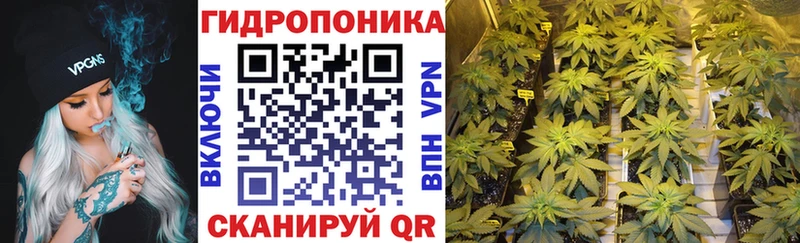 Каннабис Amnesia  Купить закладки  Ворсма 